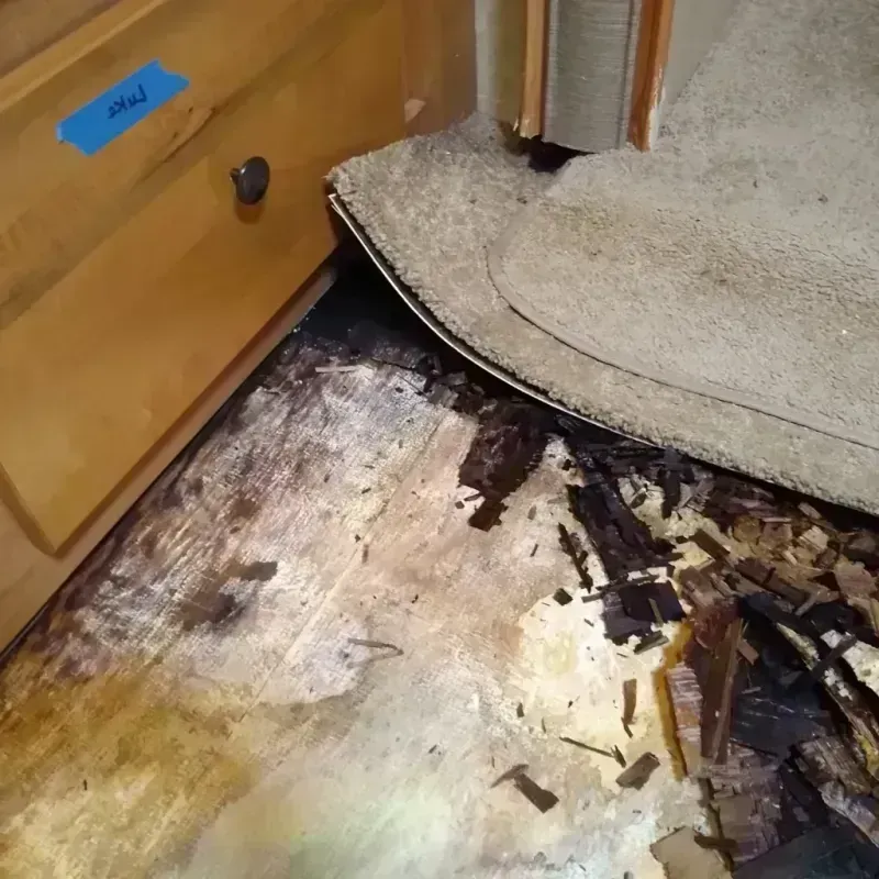 Best Wood Floor Water Damage Service in North Great River, NY